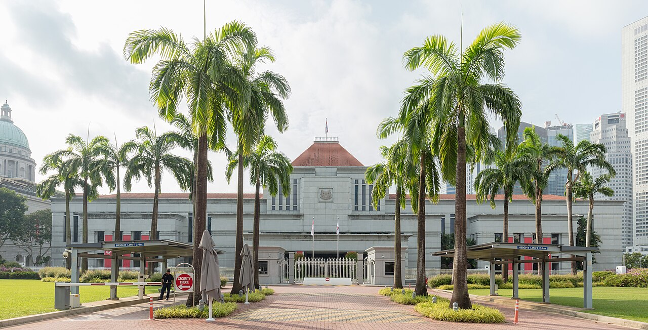 Singapore verbiedt hormonale en chirurgische behandeling van genderdysforie bij minderjarigen