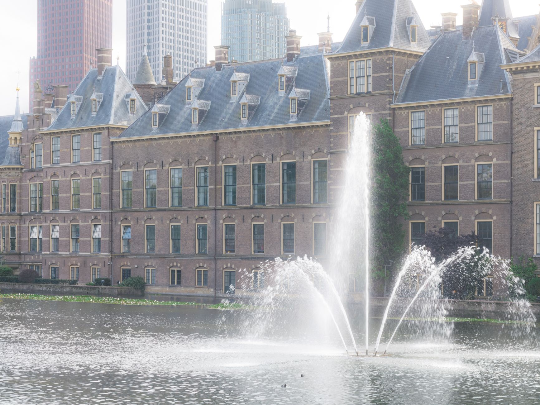 Tweede Kamer hijst regenboogvlag na hoofdelijke stemming